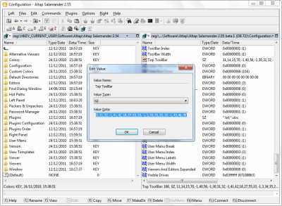 Screenshot of the application Altap Salamander - #2