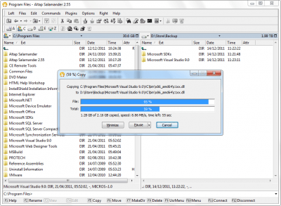 Screenshot of the application Altap Salamander - #3