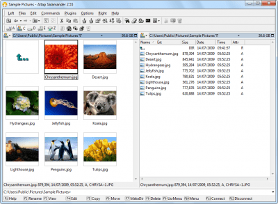 Screenshot of the application Altap Salamander - #4