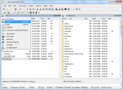 Screenshot of the application Altap Salamander - #6