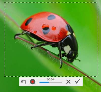 Screenshot of the application Floomby - #2