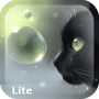 Download Curious Cat Lite