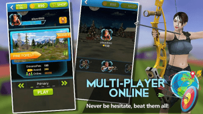 Screenshot of the application Archery Master 3D - #8
