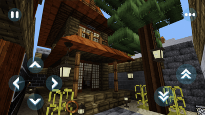 Screenshot of the application Maxi Craft Exploration Master - #2