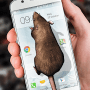 Download Mouse on screen Scary Joke
