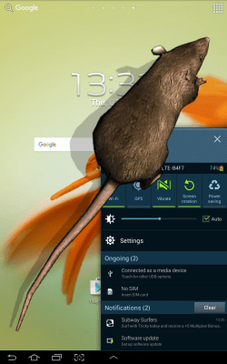 Screenshot of the application Mouse on screen Scary Joke - #4
