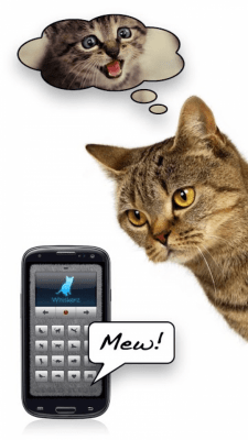 Screenshot of the application Cat voices - play with your cat! - #1