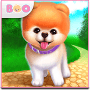 Download Boo is the cutest dog!