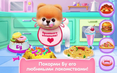 Screenshot of the application Boo is the cutest dog! - #2