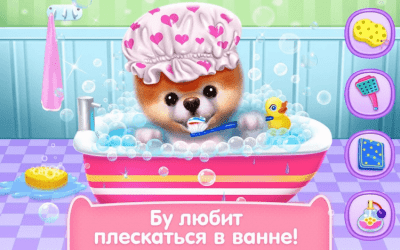 Screenshot of the application Boo is the cutest dog! - #3