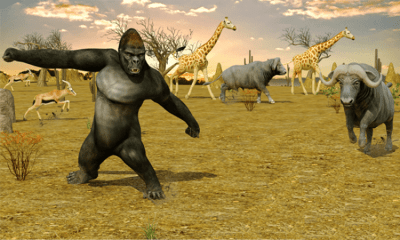 Screenshot of the application Sniper Hunter Safari Survival - #7
