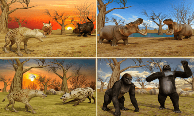 Screenshot of the application Sniper Hunter Safari Survival - #8