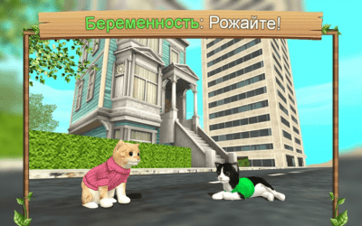 Screenshot of the application Cat Simulator Online - #3
