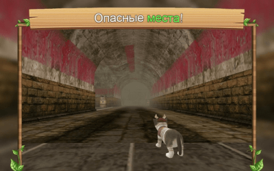 Screenshot of the application Cat Simulator Online - #6
