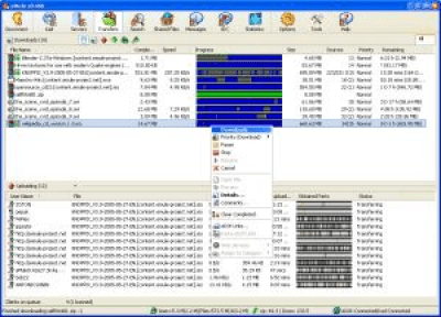 Screenshot of the application eMule - #2