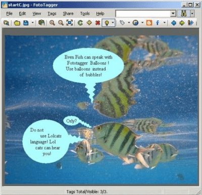 Screenshot of the application FotoTagger - #2