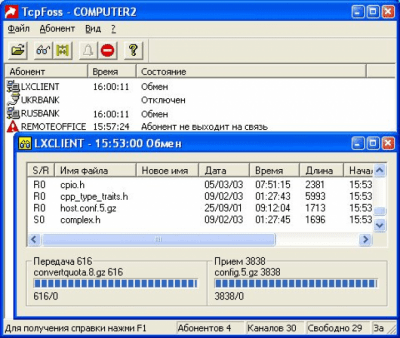 Screenshot of the application TcpFoss - #3