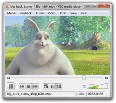 Screenshot of the application VLC Media Player for Windows - #4