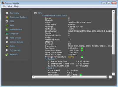 Screenshot of the application Speccy - #2