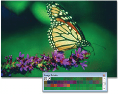 Screenshot of the application CorelDRAW Graphics Suite - #4