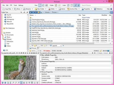 Screenshot of the application Directory Opus - #2