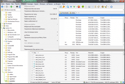 Screenshot of the application XYplorer - #3