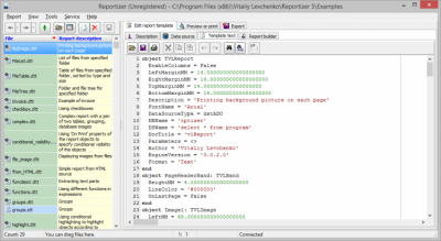 Screenshot of the application Reportizer - #4