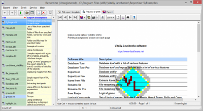 Screenshot of the application Reportizer - #5