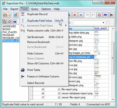 Screenshot of the application Exportizer - #2