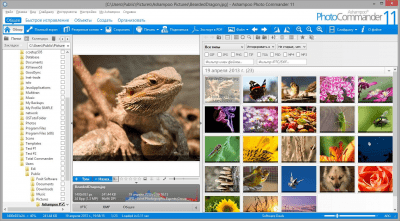 Screenshot of the application Ashampoo Photo Commander - #2