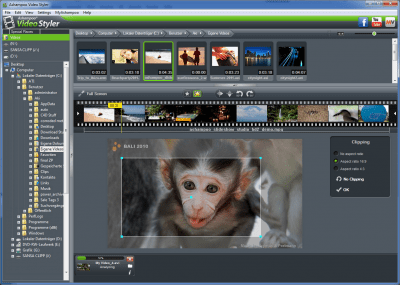 Screenshot of the application Ashampoo Video Styler - #2