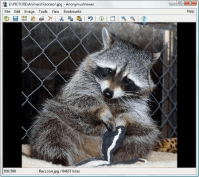 Screenshot of the application AnonymusViewer - #2
