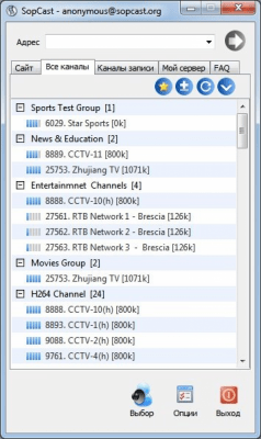 Screenshot of the application Sopcast - #2