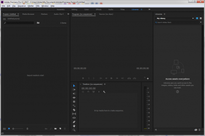 Screenshot of the application Premiere Pro - #3
