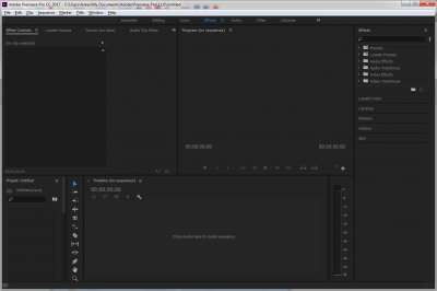 Screenshot of the application Premiere Pro - #5