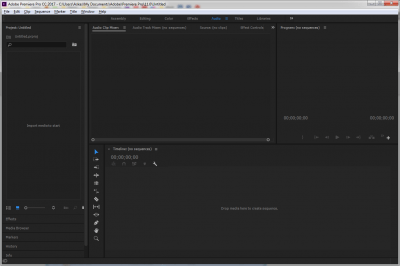 Screenshot of the application Premiere Pro - #6