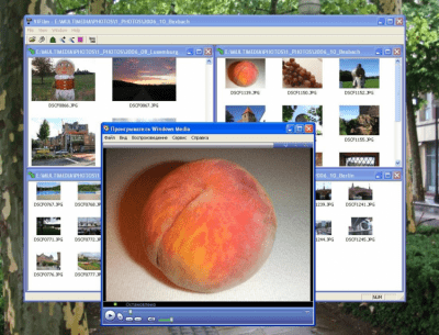 Screenshot of the application VIFilm - #2