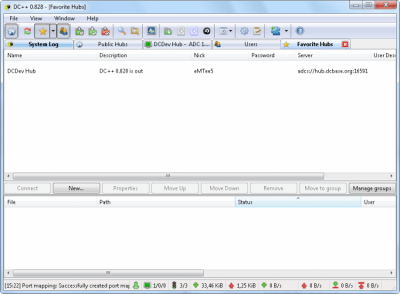 Screenshot of the application DC++ - #2