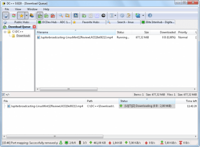 Screenshot of the application DC++ - #6