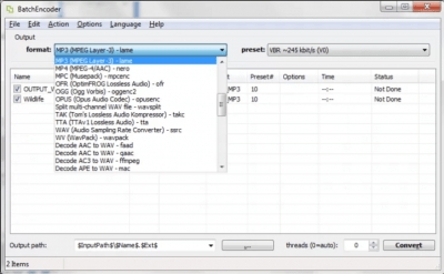 Screenshot of the application BatchEncoder - #2