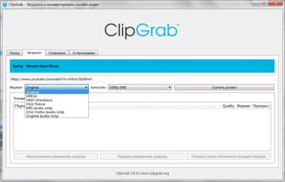 Screenshot of the application ClipGrab - #4