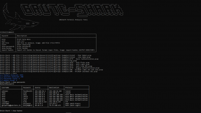Screenshot of the application BruteShark - #6