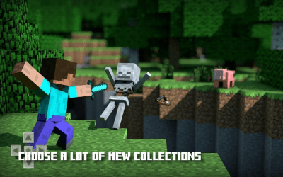 Screenshot of the application Freya Minecraft Mod Master - #2