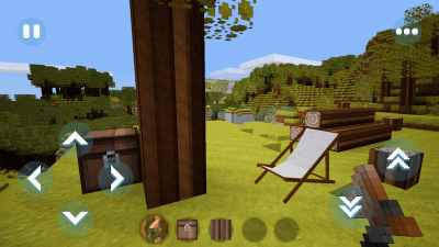 Screenshot of the application Play Craft GO - #2