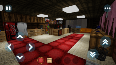 Screenshot of the application Play Craft GO - #4