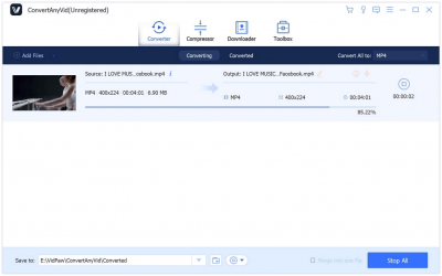 Screenshot of the application ConvertAnyVid - #3
