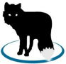 Download MetaFox