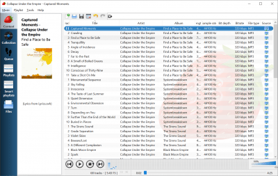 Screenshot of the application Strawberry - #2
