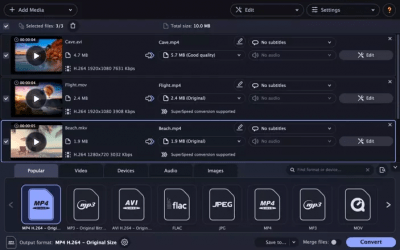 Screenshot of the application Movavi Video Converter - #2