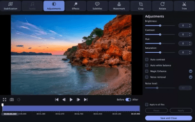 Screenshot of the application Movavi Video Converter - #5